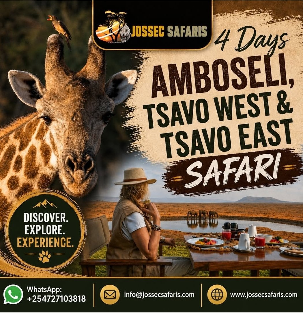 Amboseli flyer