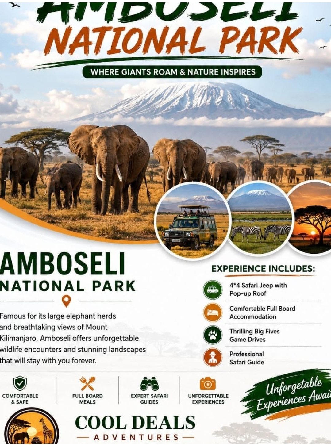 Amboseli flyer
