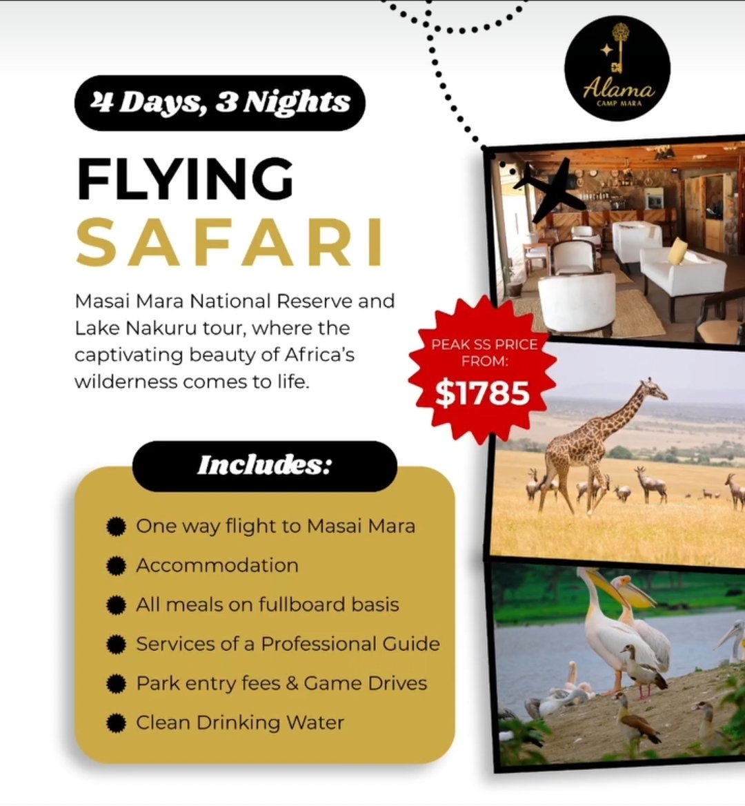 3 Days 2 Nights flyer
