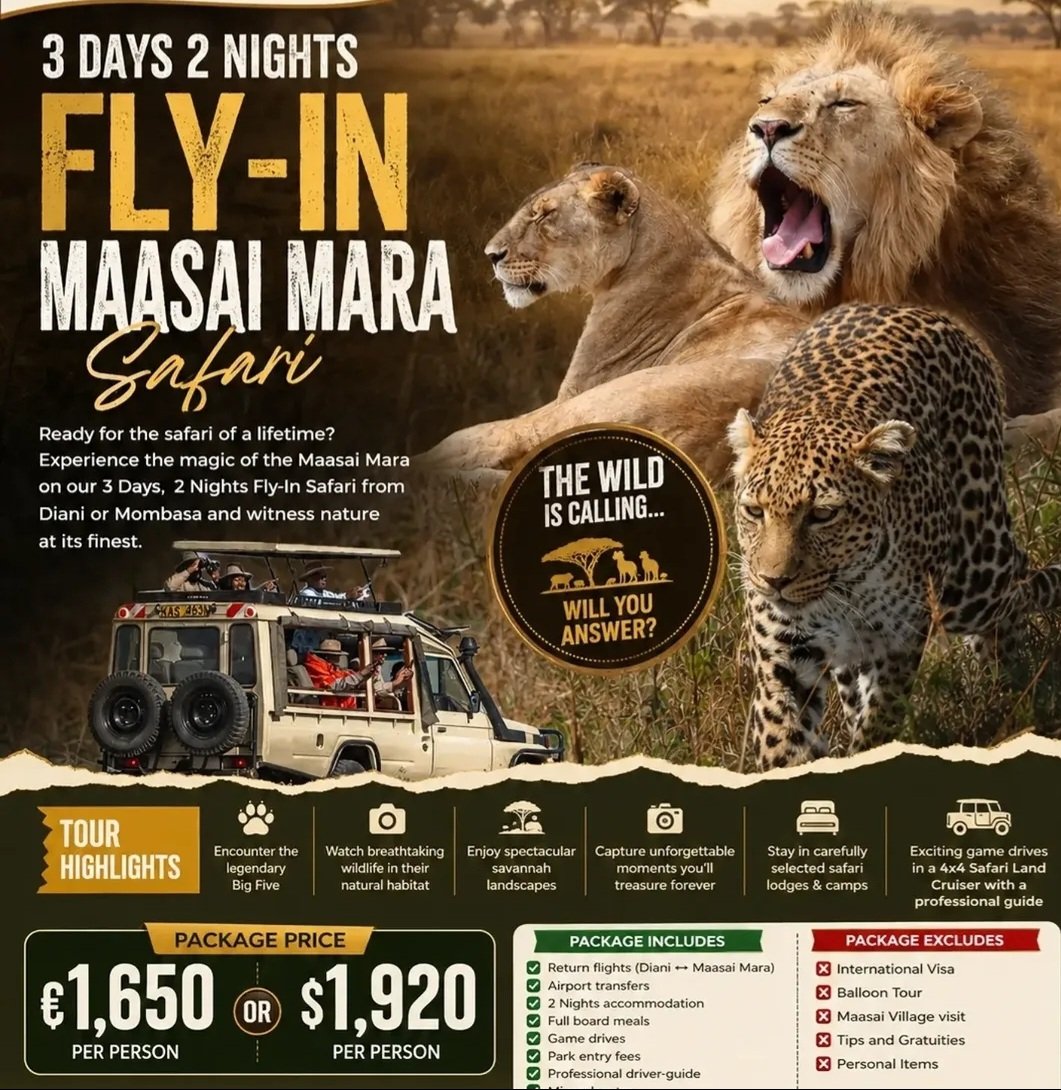 3 Days 2 Nights flyer