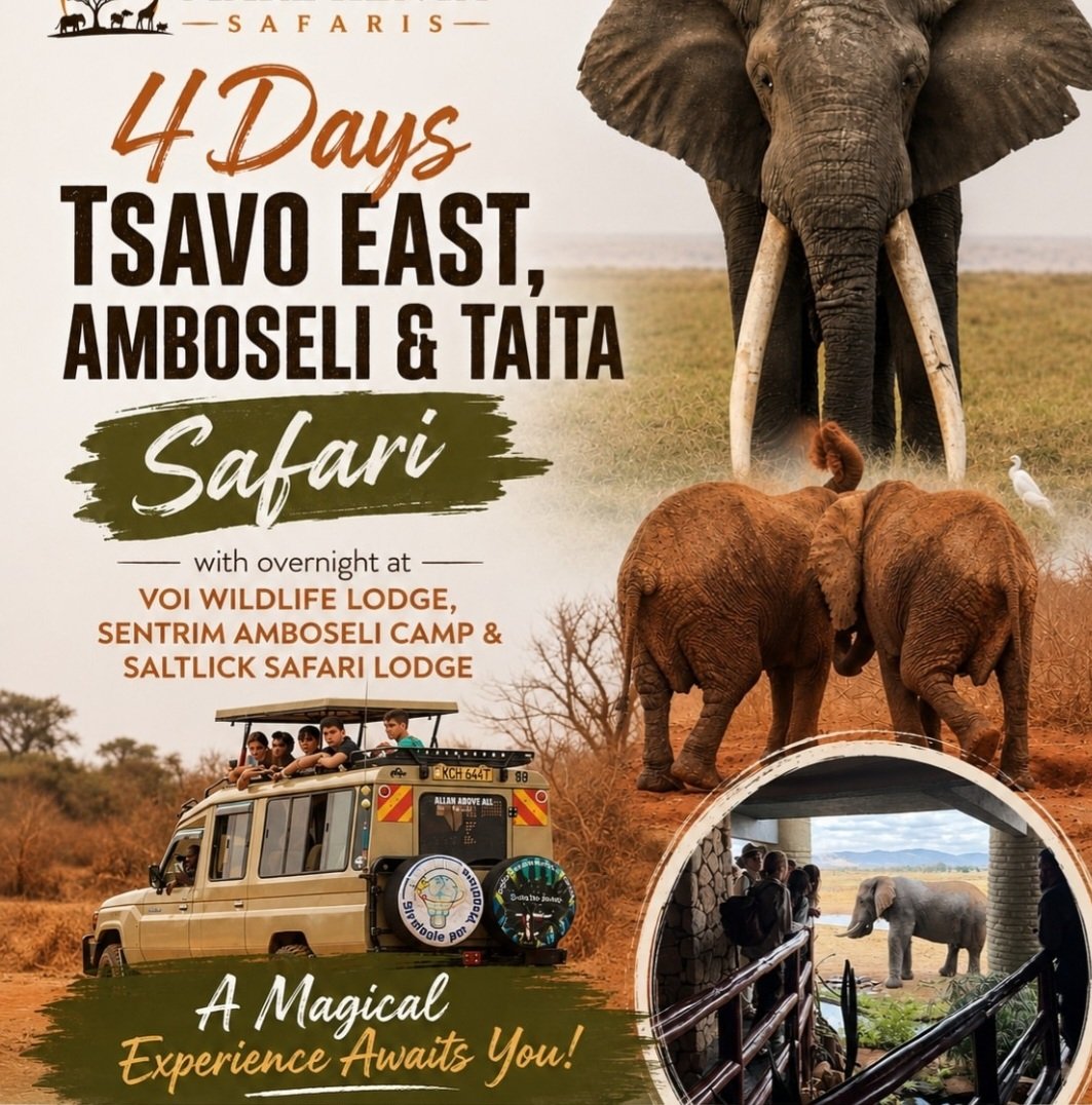 4 Days Tsavo East and Amboseli flyer